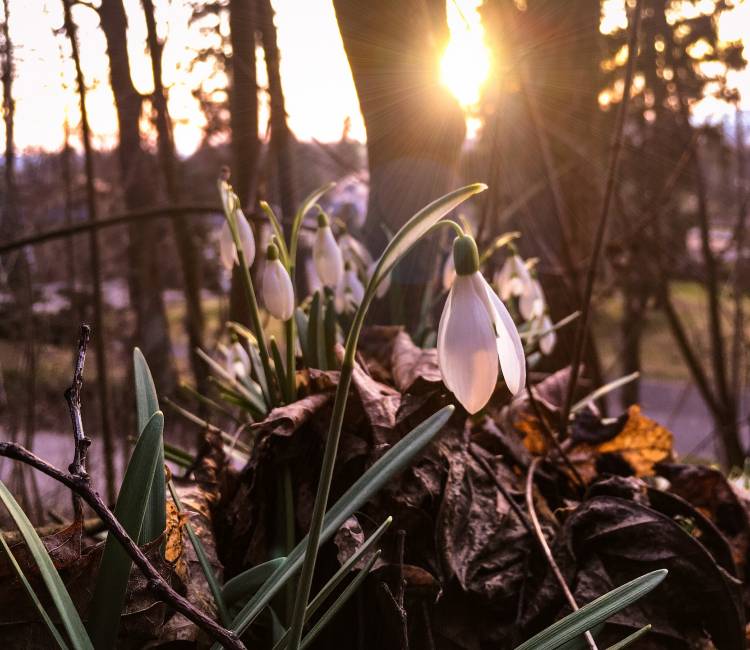 Marcowy wypoczynek w Karkonoszach 